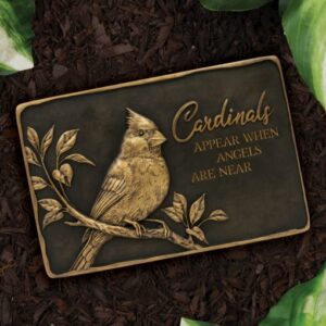 Stone Memorial Cardinals Appear when Angels are Near