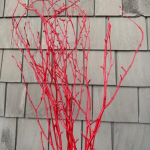 Decorative Sticks Red Branches