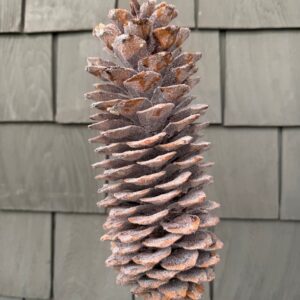 Decorative Sticks Sugar Cone